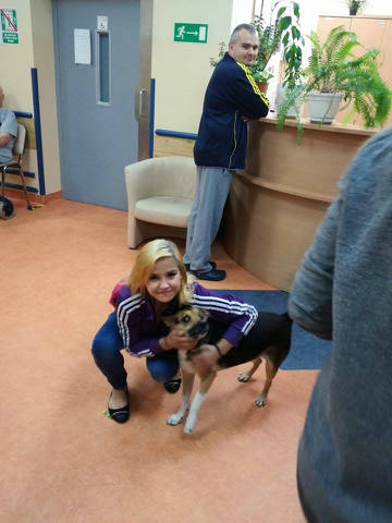 Koło Wolontariatu - Obrazek 4