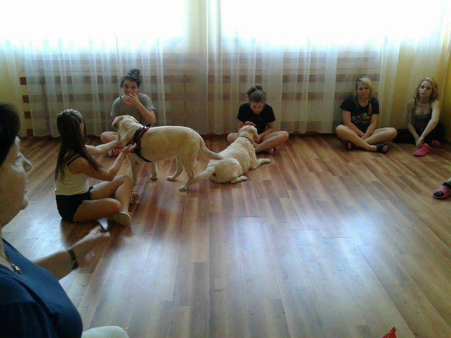 Dogoterapia - Obrazek 2