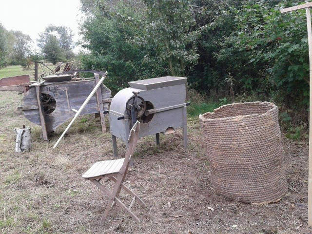 II Festiwal Powideł Olenderskich 2017r. - Obrazek 4