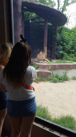 Wycieczka do ZOO - Obrazek 2