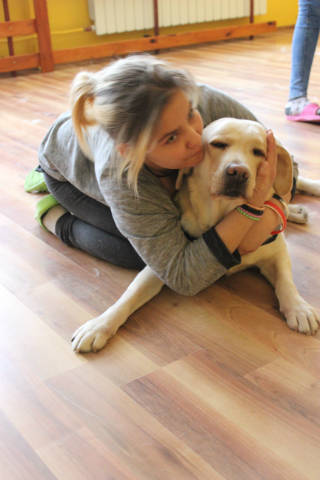 Dogoterapia - Obrazek 1