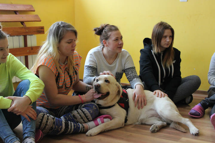 Dogoterapia - Obrazek 2