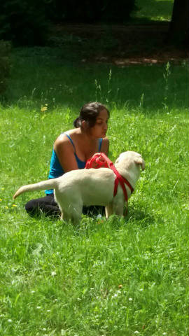 Nasza Sonia - Obrazek 3