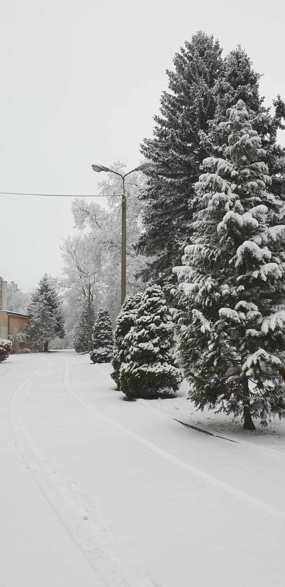 Pierwszy śnieg... - Obrazek 3