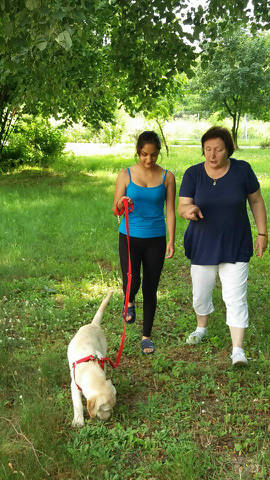 Nasza Sonia - Obrazek 2