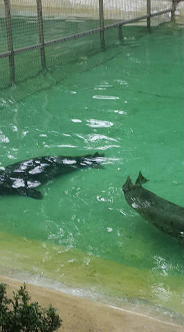 Wycieczka do ZOO - Obrazek 5