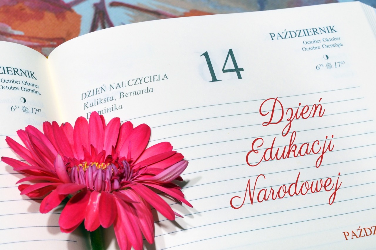 Dzień Edukacji Narodowej - Obrazek 1