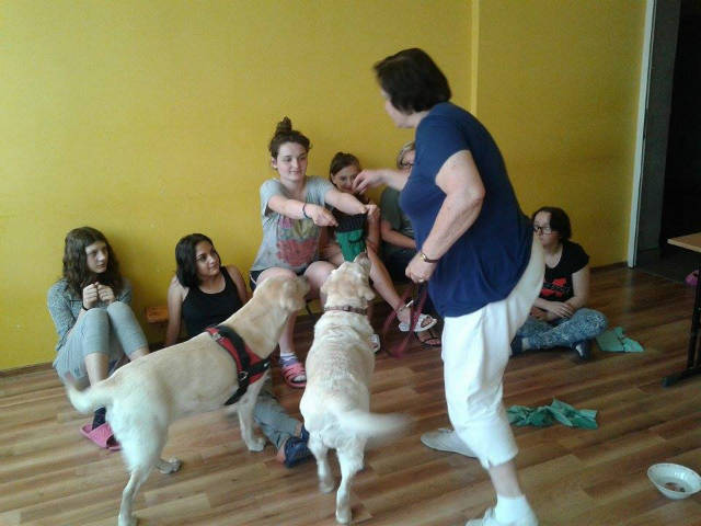 Dogoterapia - Obrazek 1