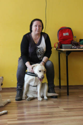 Dogoterapia - Obrazek 3