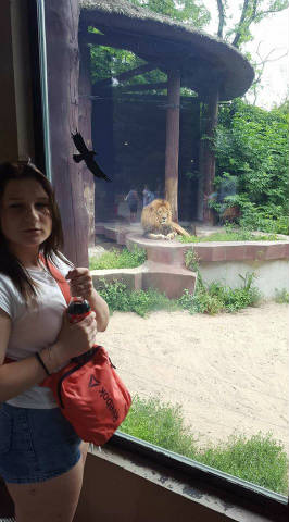 Wycieczka do ZOO - Obrazek 6