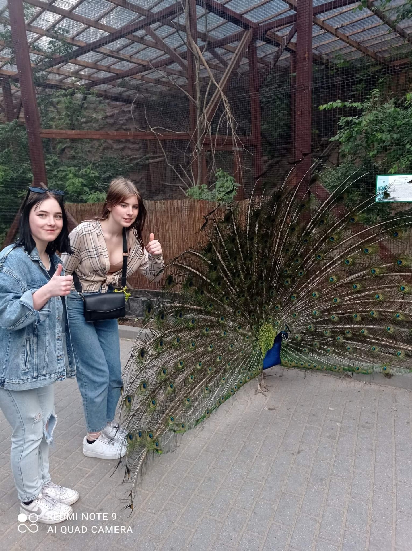 Wycieczka do ZOO - Obrazek 3
