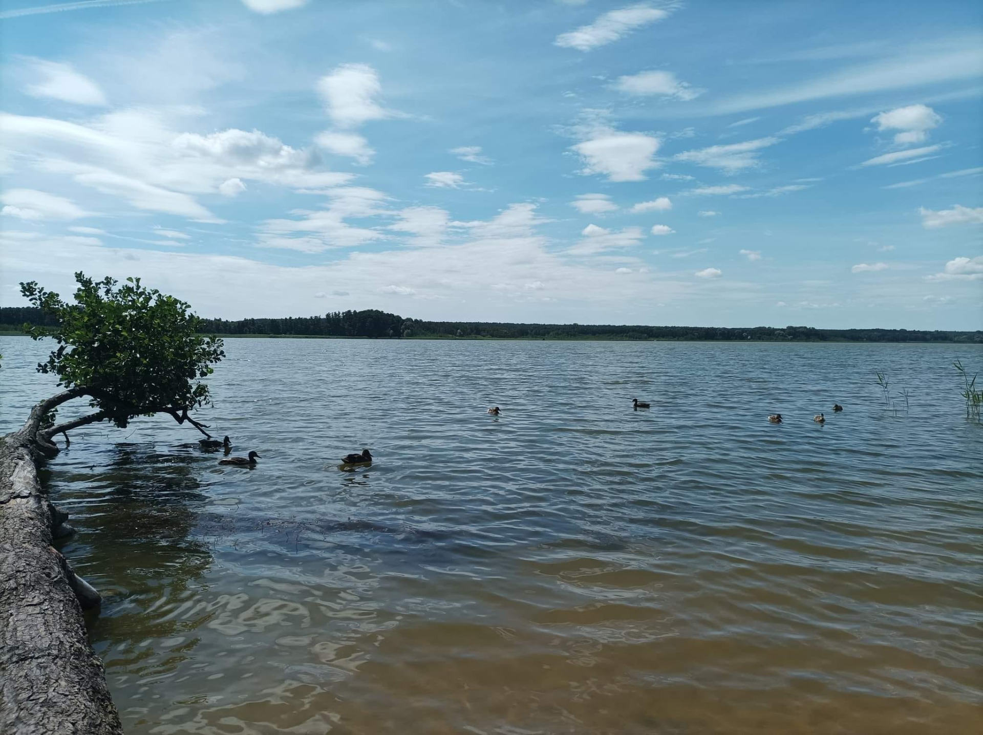 Wycieczka nad jezioro - Obrazek 2