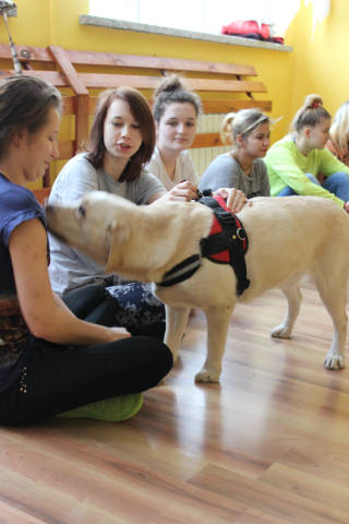 Dogoterapia - Obrazek 4